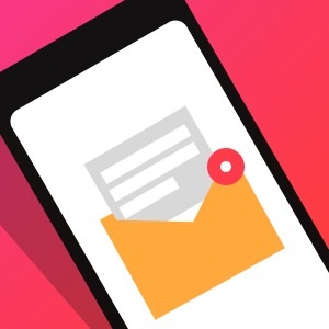 Чек по SMS (10 SMS)