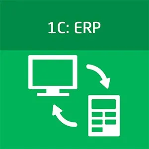 1С ERP (6 месяцев)